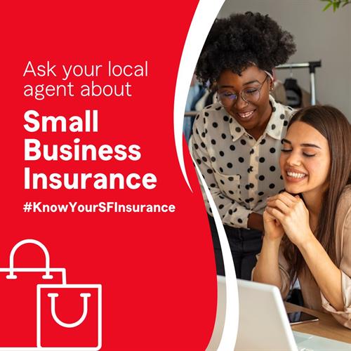 As a small business owner, you might have to deal with property damage, but small business insurance can have your back in that situation ? Call me, and I will make sure that you're covered for anything! 