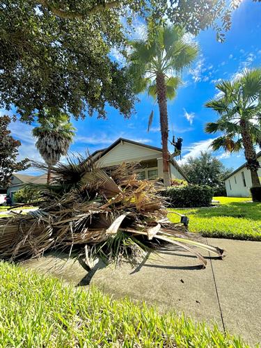 Gallery Image 822a918d-5131-4579-86d0-7de3fc1ea87a.jpg