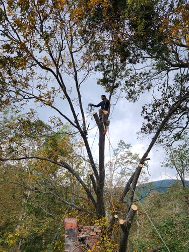 Gallery Image 9955081d-df4b-475e-a409-9d772be7cc83.JPEG