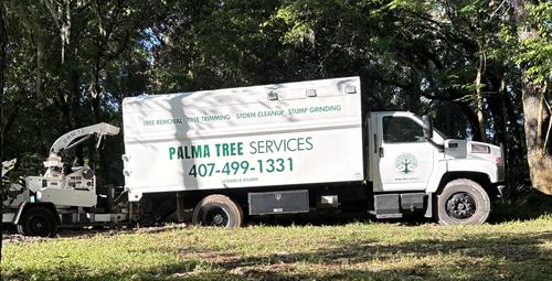 Palme Tree Services. Licensed and insured
