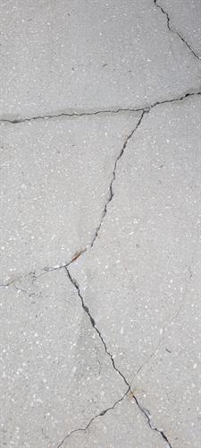 Cracks in the driveway.