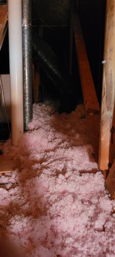 Checking the attic for insulation.