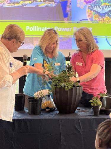 Gallery Image IMG_0004_-_CC_Class_-_Pollinator_Pots.jpg