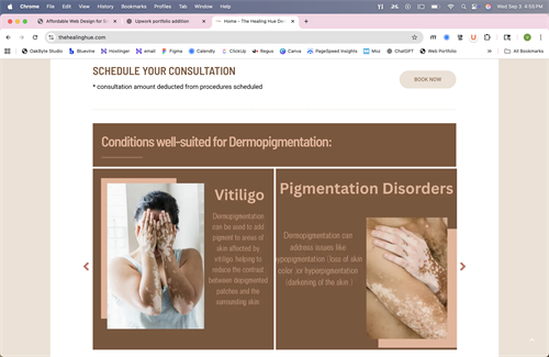 Client website - The Healing Hue