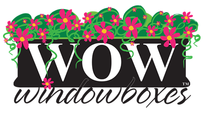 WOW Windowboxes Orlando