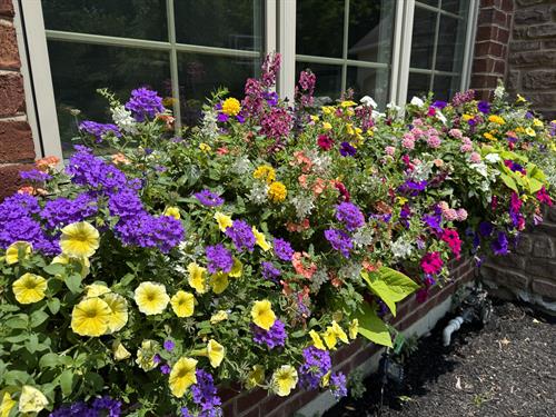 Gallery Image Copy_of_IMG_0078.jpeg