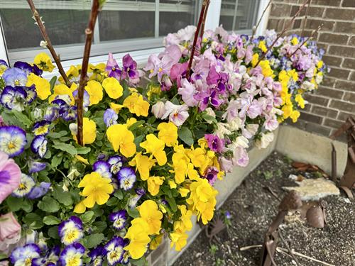 Gallery Image Copy_of_IMG_9616.jpeg