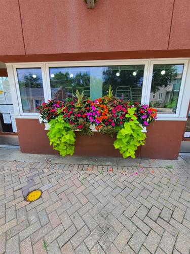 Gallery Image Copy_of_Resized_20250630_131647.jpeg