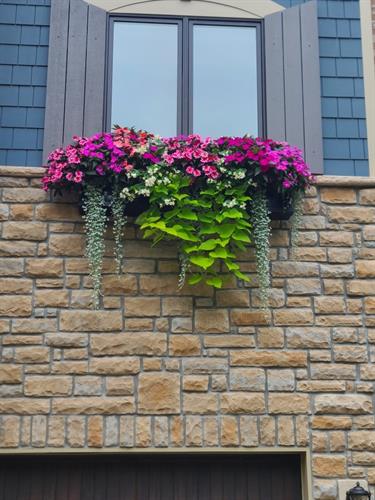 Gallery Image Copy_of_Resized_20250701_115455.jpeg