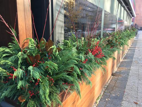 Gallery Image Copy_of_X16.jpeg