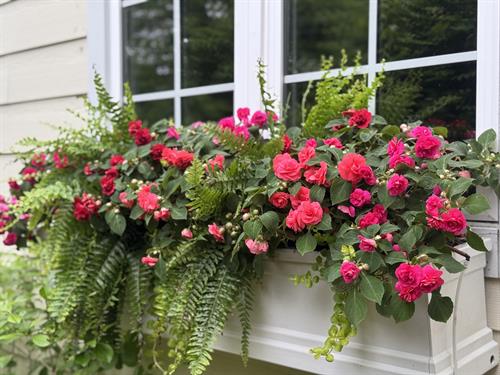 Gallery Image IMG_0002.jpeg