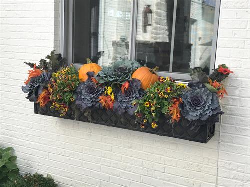 Gallery Image IMG_9291.jpeg