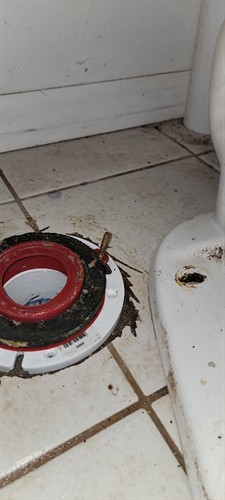 Toilet Repair and Replacement