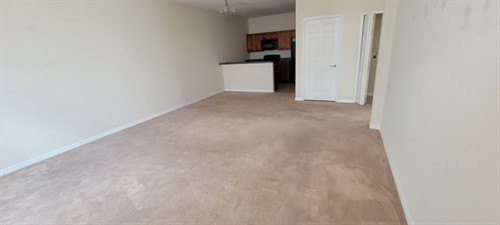 Carpet to Vinyl Flooring Installation (Before)