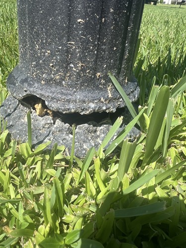 HOA Mailbox Violation (Before)