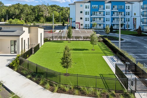 Dog Park 