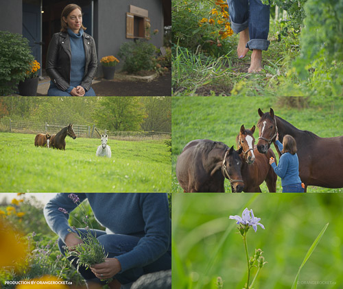 Gallery Image farm-project.jpg Gallery Image farm-project.jpg