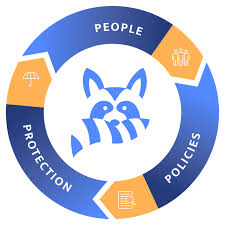 Our Focus Our Focus
