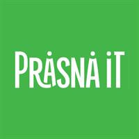 Prasna IT Inc Prasna IT Inc