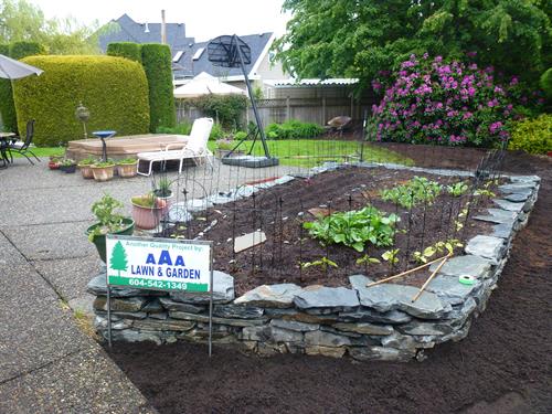 raised garden bed