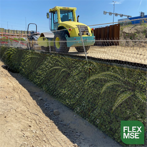 Beautiful Vegetated Walls