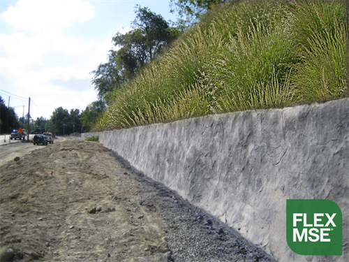 Beautiful Vegetated Walls