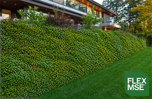 Beautiful Vegetated Walls