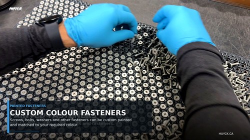 Painted Custom Fasteners