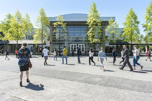 Gallery Image Surrey_Courtyard_Library_wr.jpg