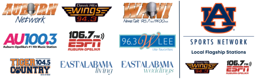 Auburn Networks LLC