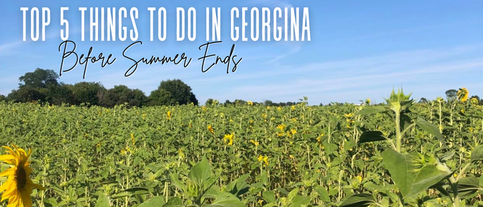 Image for Top 5 Things to do in Georgina Before Summer Ends