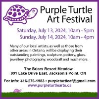 Purple Turtle Art Festival