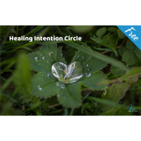 Healing Intention Circle