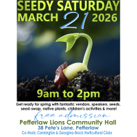 Seedy Saturday