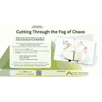 Cutting Through the Fog of Chaos