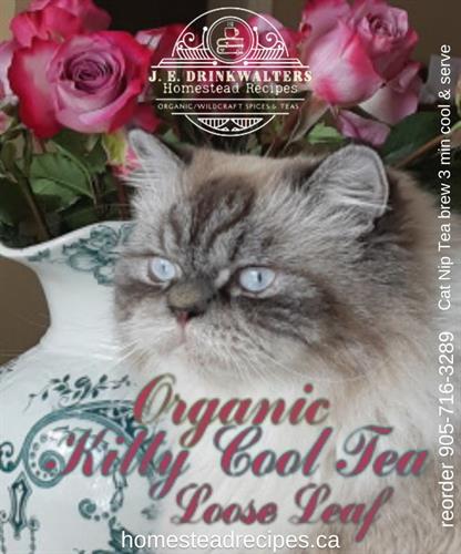 Organic Catnip Tea for Cats