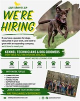 Grassroots K9 Georgina