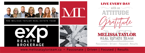 Team photo banner Team photo banner