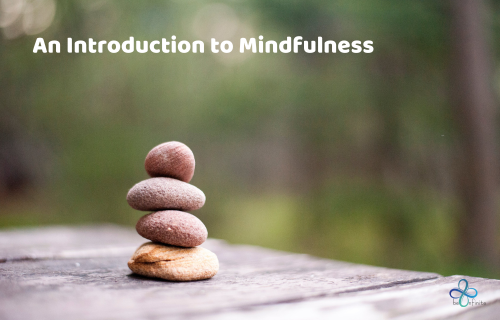 This program offers a brief taste of mindfulness practice and theory and provide some practices to be used in day-to-day life to live a more balanced life.  