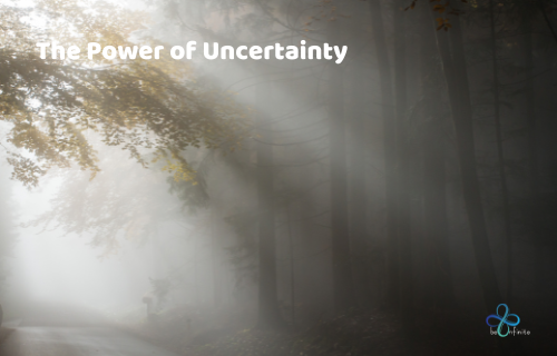 The purpose of this program is to learn to allow, accept and transform uncertainty. Although uncertainty is and has always been part of our lives it seems it has become increasingly more important to learn how to more effectively deal with it.