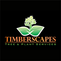 Timberscapes Inc.