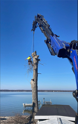 Gallery Image Tree_Removal_-_Crane_and_Climber.png