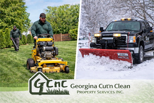 Gallery Image ChatGPT_Image_Feb_12._2026._01_43_48_PM.png