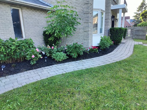 Gallery Image 1000027619.jpg