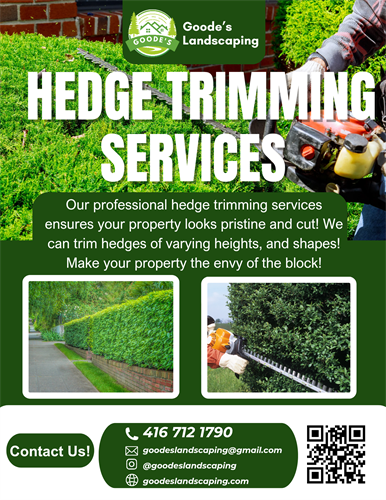 Gallery Image 1000037623.png