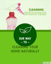 Cleaning European Cleaning European
