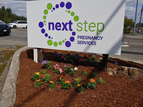 Welcome to Next Step!
