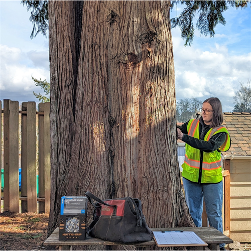 We offer tree assessments from ISA Certified and Tree Risk Assessment Qualified Arborists.