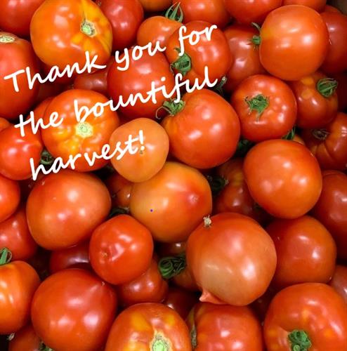 Thank you to all our local gardeners and farmers