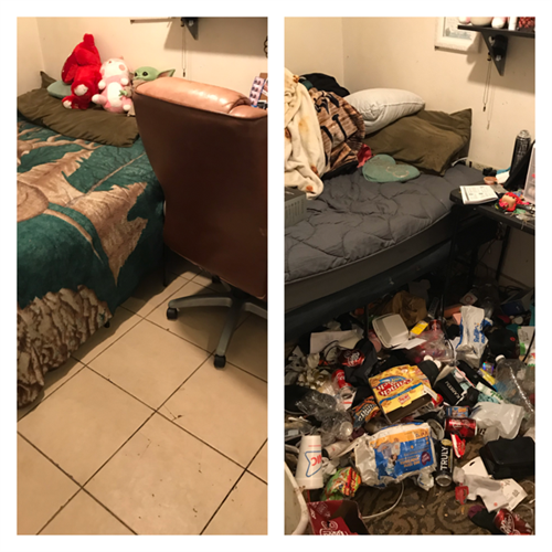 Hoarding Clean-up